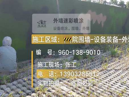 伊犁外墙迷彩漆材料价约 45-60 元 /k